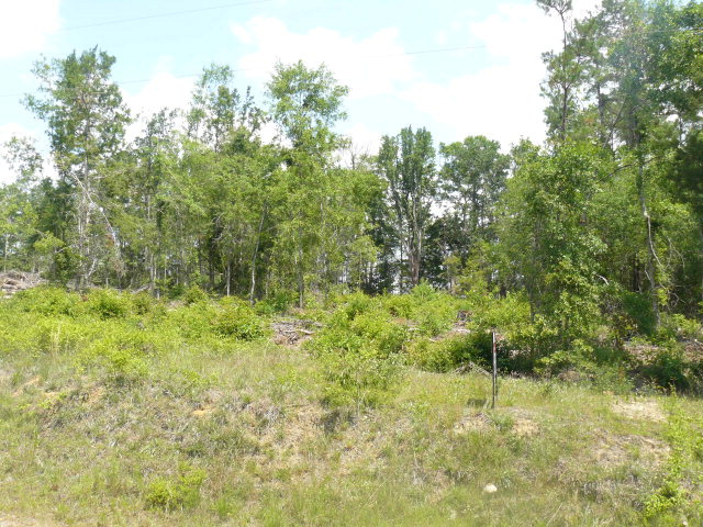 0 Fletcher Smith Road Cottonwood, AL 36320 - Photo 1 of 1