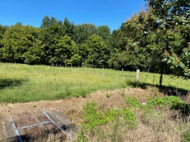 167 Frog Jump Road Brighton, TN 38011 - Photo 17 of 18 View of nature