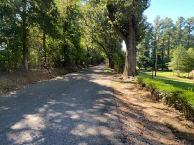 167 Frog Jump Road Brighton, TN 38011 - Photo 18 of 18 View of street
