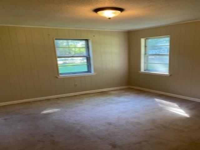 167 Frog Jump Road Brighton, TN 38011 - Photo 8 of 18 Spare room with a textured ceiling, wooden walls, and carpet flooring