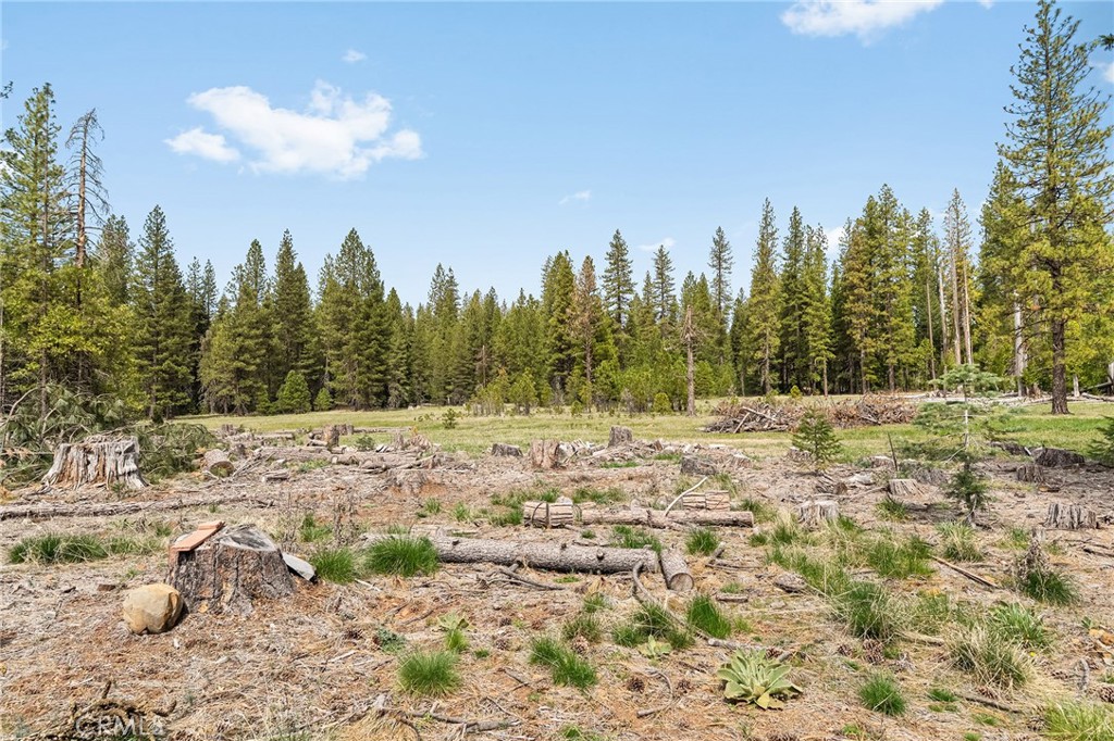 7597 Maddrill Lane Forest Ranch, CA 95942 - Photo 52 of 72