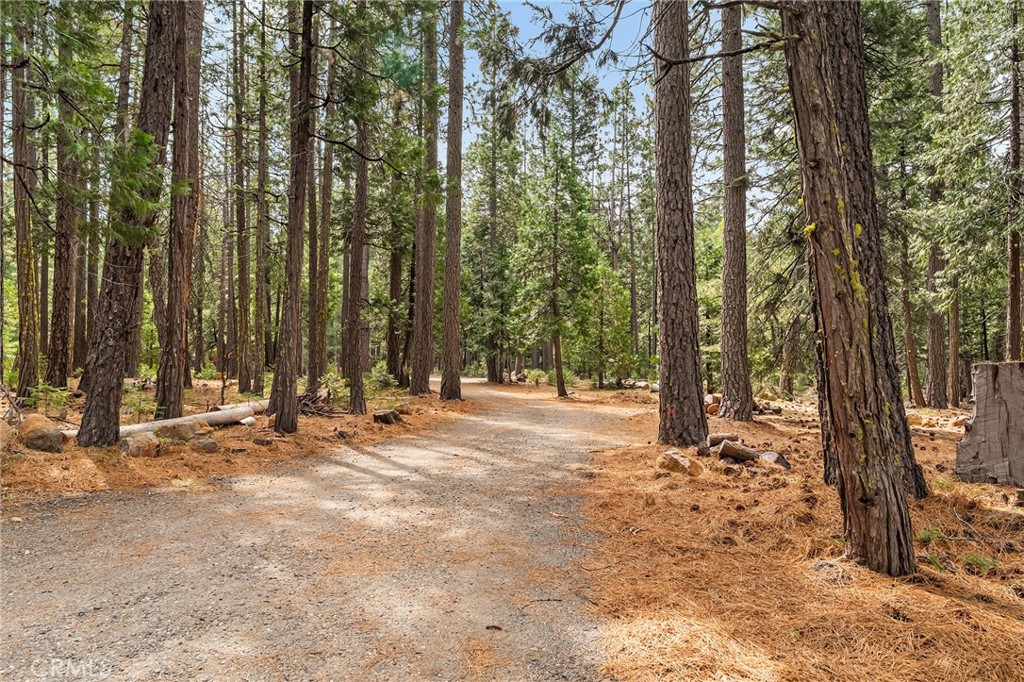 7597 Maddrill Lane Forest Ranch, CA 95942 - Photo 66 of 72