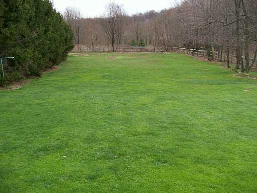 1125 Prospect Road Evans City, PA 16033 - Photo 7 of 8 Yard/Garden.