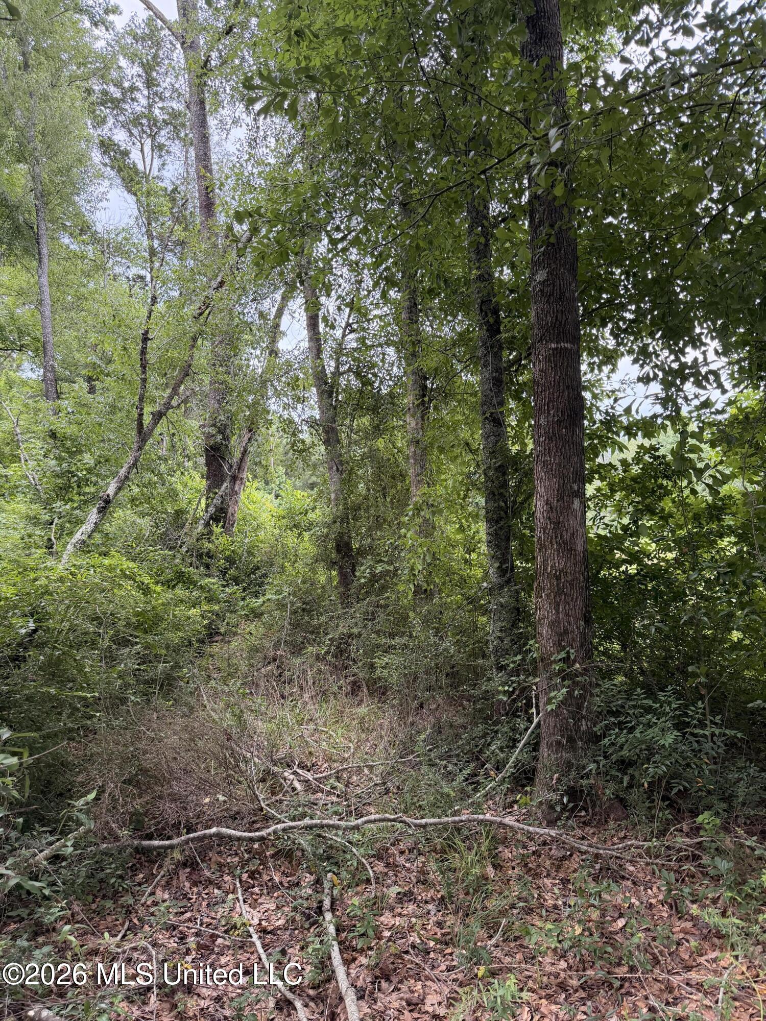 Cedar Ridge McComb, MS 39648 - Photo 8 of 12 IMG_4543