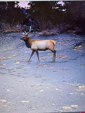 a view of a fireplace with two chair