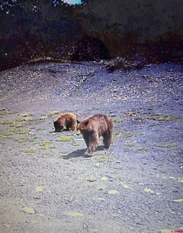 $1,250,000 | 31u Hwy Norwood Co 81423 Highway, Norwood, CO 81423