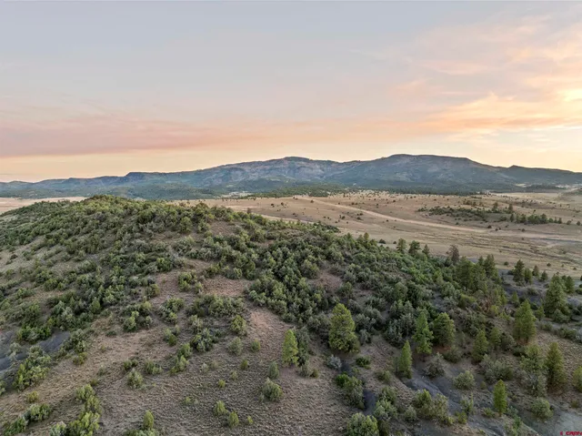 a view of a lush green field