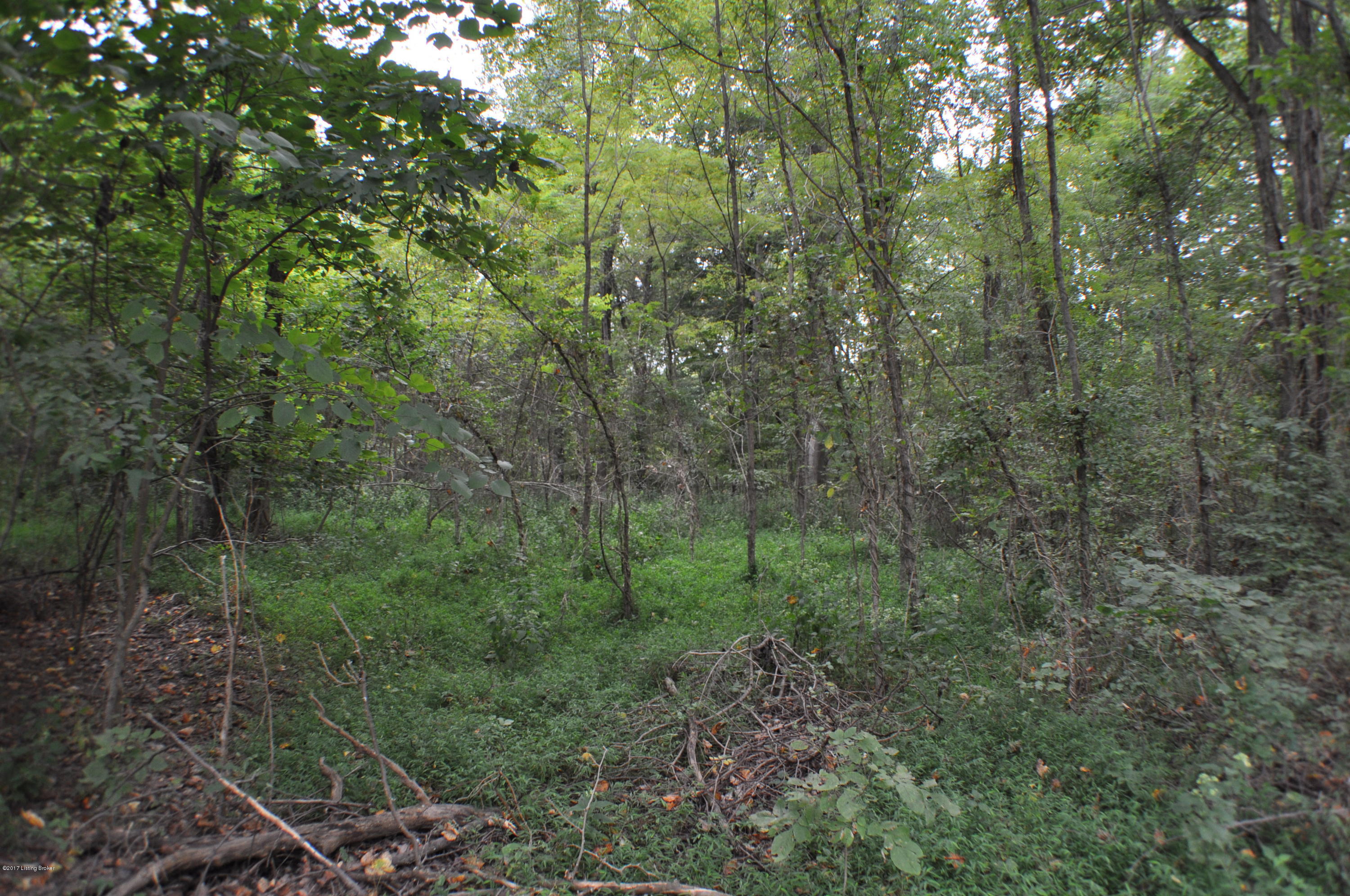 Lot 9 River Edge Road Brandenburg, KY 40108 - Photo 8 of 9 DSC_0068