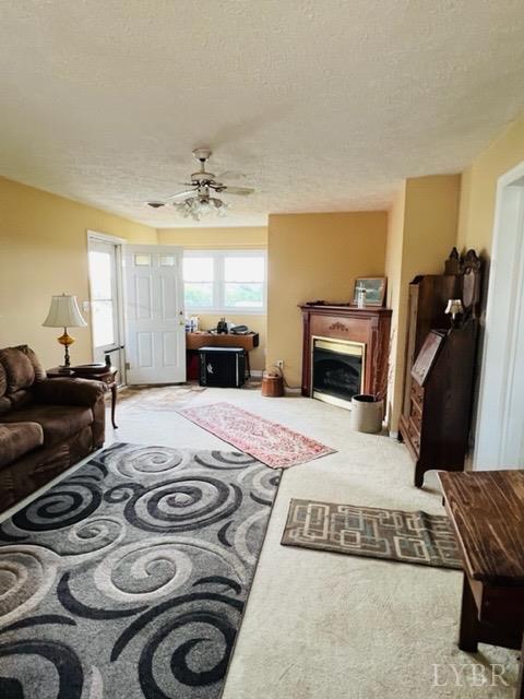 55 Beale Road Lynch Station, VA 24571 - Photo 17 of 38 Gallery Image 17