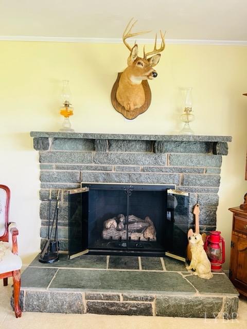 55 Beale Road Lynch Station, VA 24571 - Photo 9 of 38 Gallery Image 9
