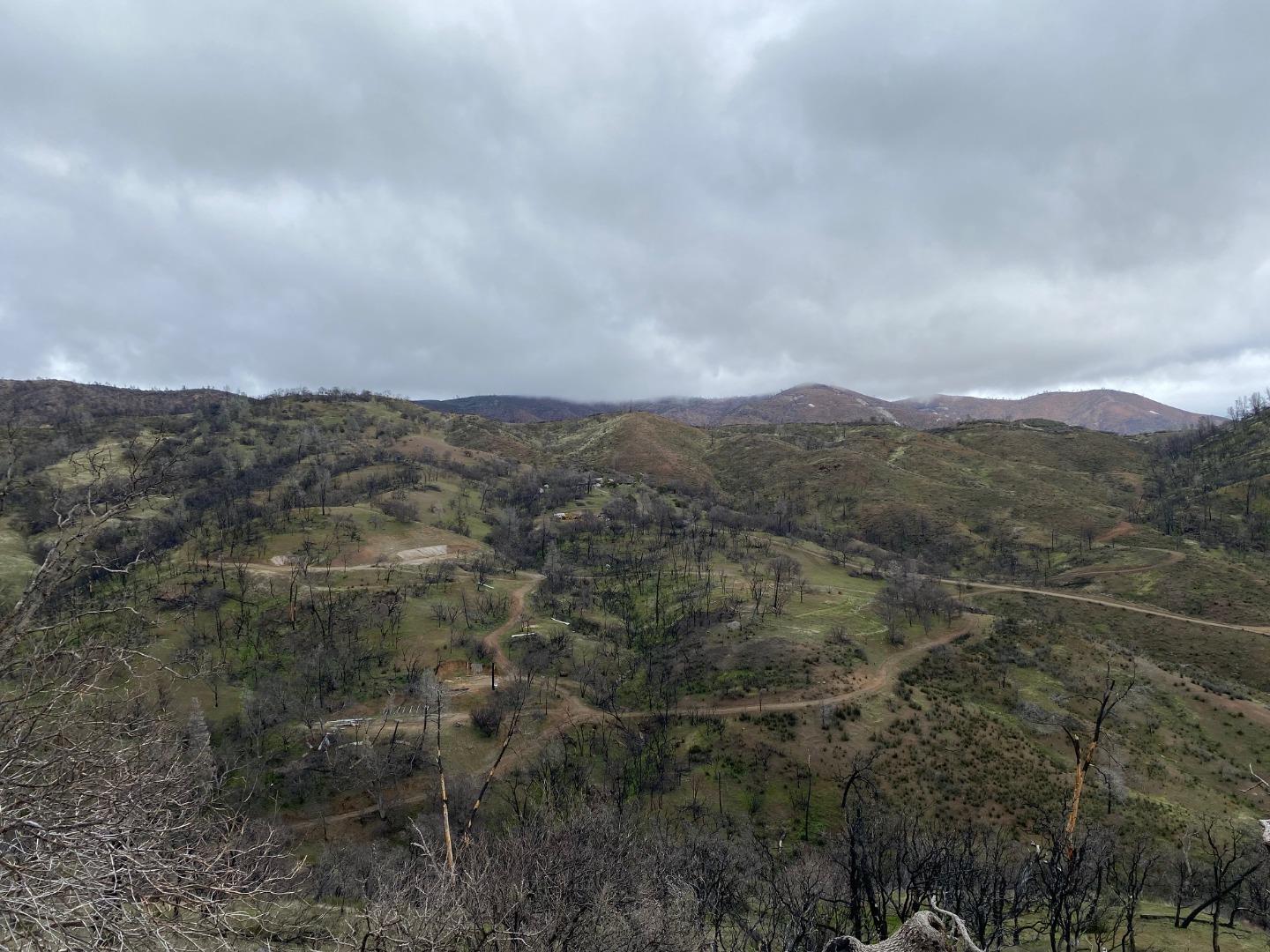 an aerial view of houses covered in trees