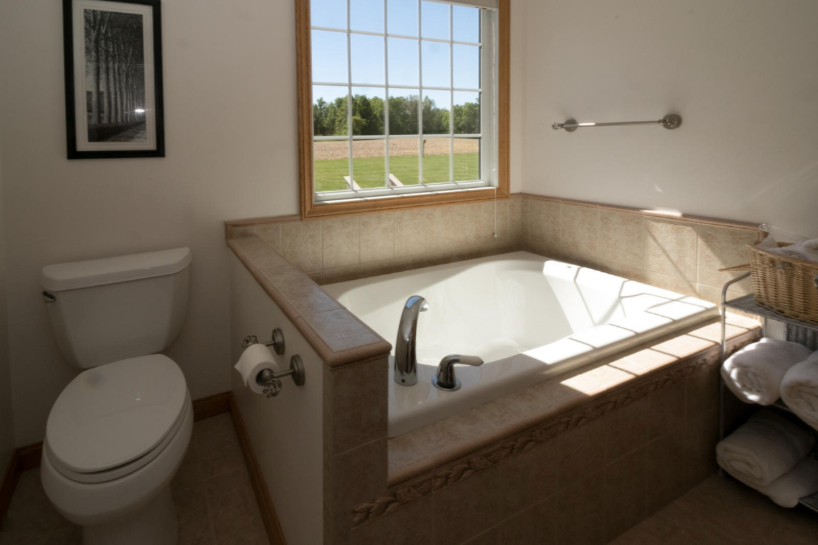 965 Clark Road Ceresco, MI 49033 - Photo 14 of 42 965ClarkRd-114