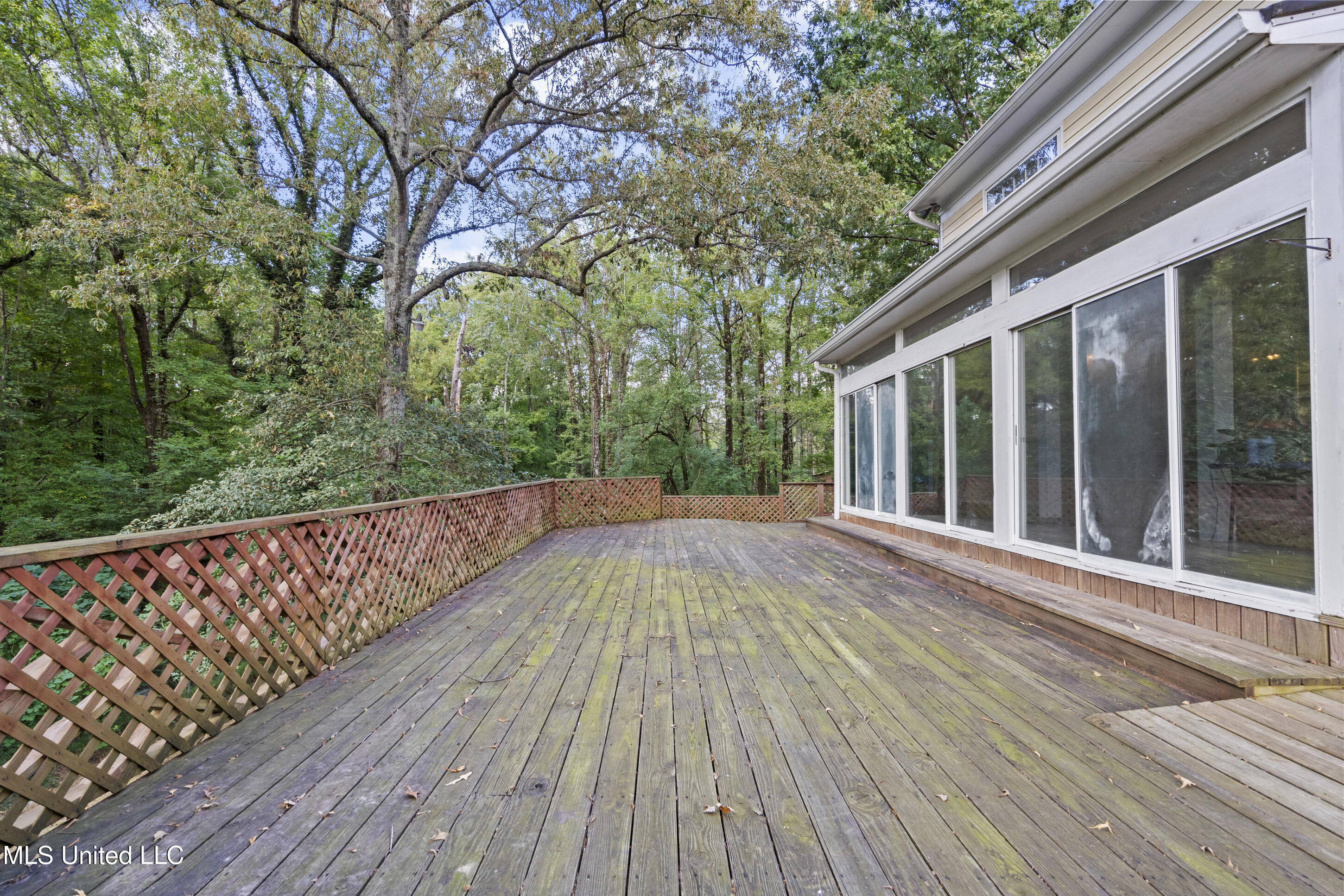 370 Cedar Hills Road Holly Springs, MS 38635 - Photo 41 of 50 Deck