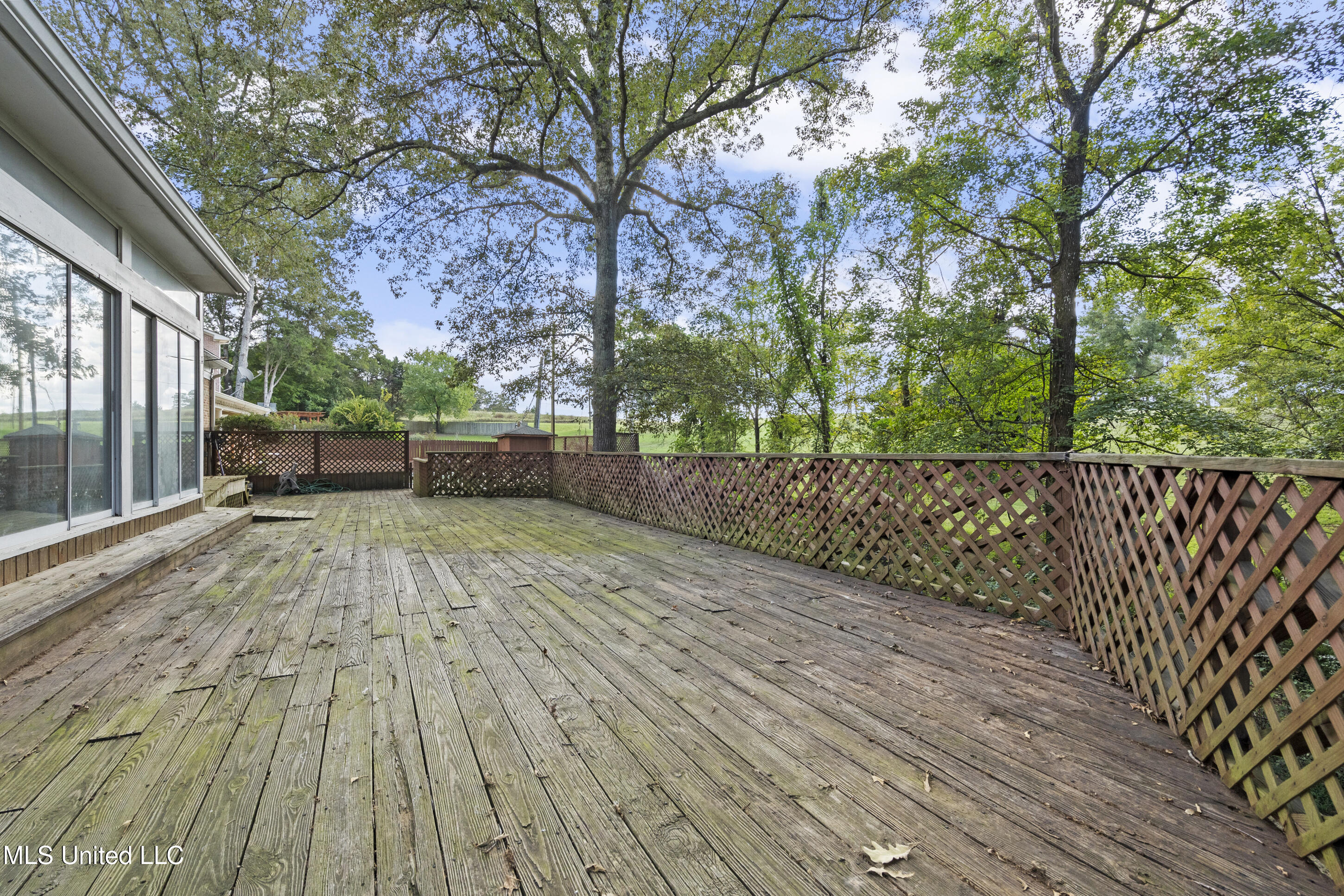 370 Cedar Hills Road Holly Springs, MS 38635 - Photo 42 of 50 Deck