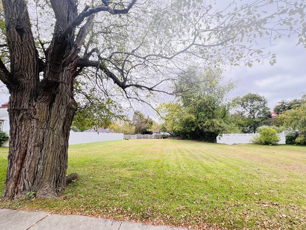188 B Parker Street Springfield, MA 01151 - Photo 1 of 2 a view of a field with an trees