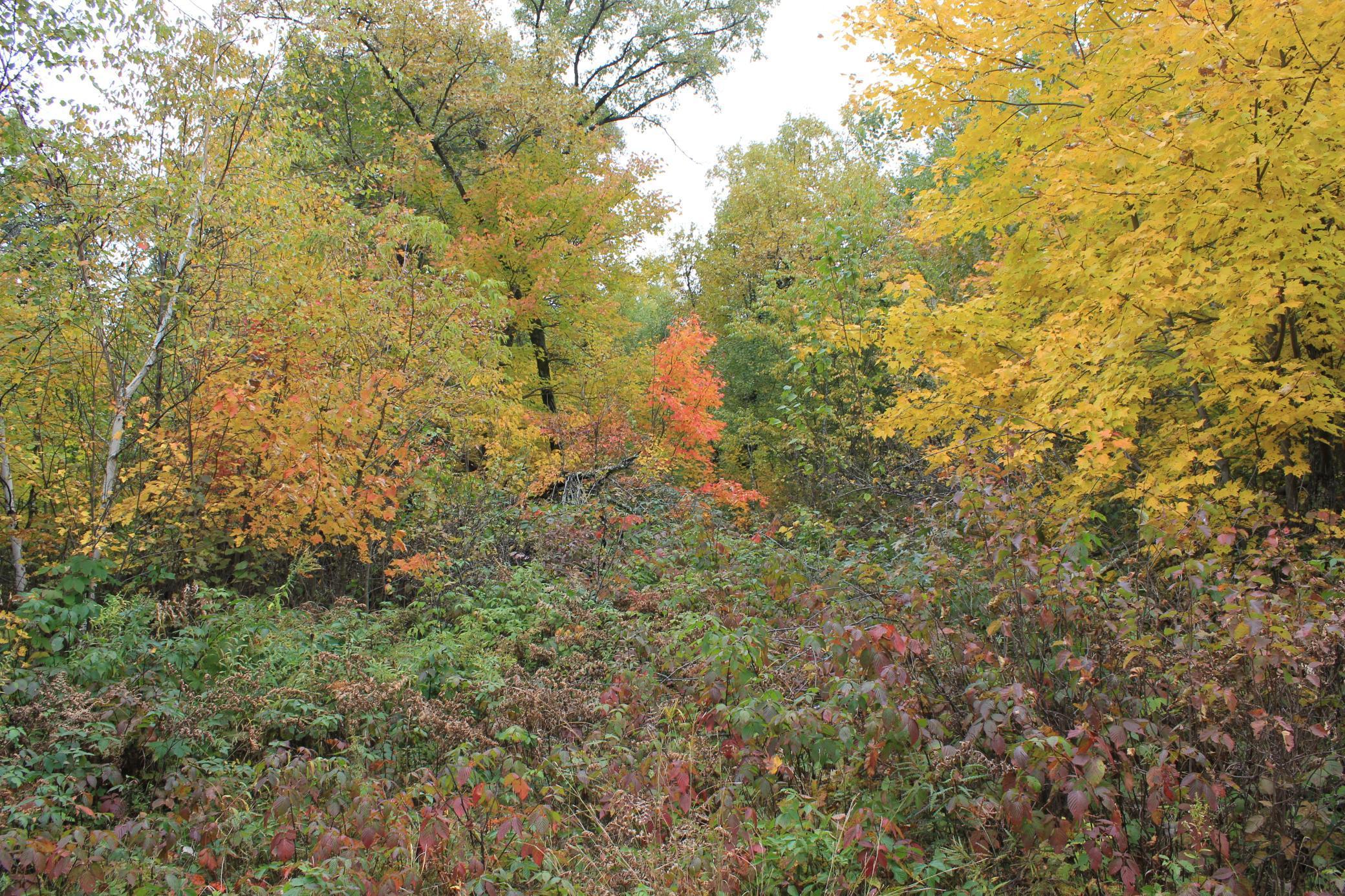 9250 Perida Road Webster, WI 54893 - Photo 29 of 66 Gallery Image 29