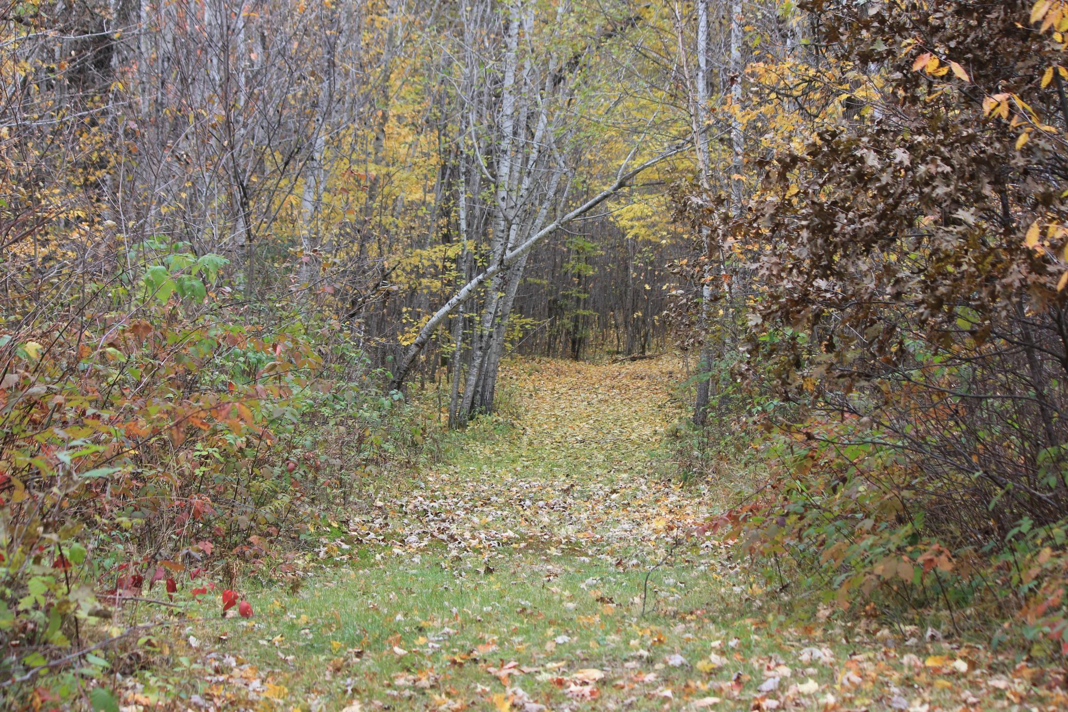 9250 Perida Road Webster, WI 54893 - Photo 38 of 66 Gallery Image 38