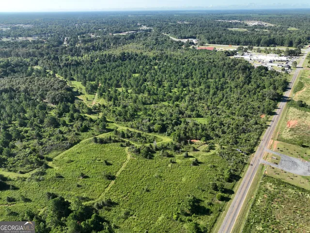 $1,995,000 | 0 Industrial Boulevard, Hawkinsville, GA 31036