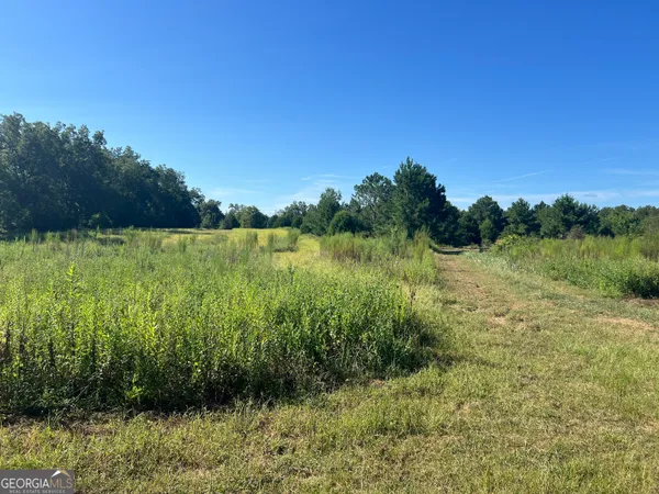 a view of a lake with a yard