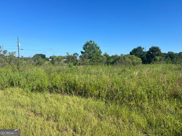 a view of a lush green space