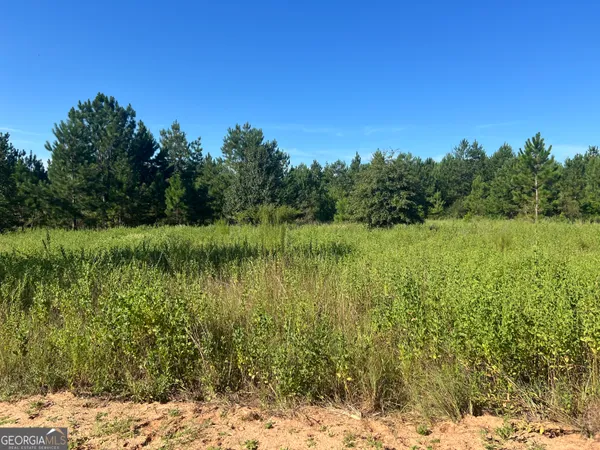 a view of a lake with a yard