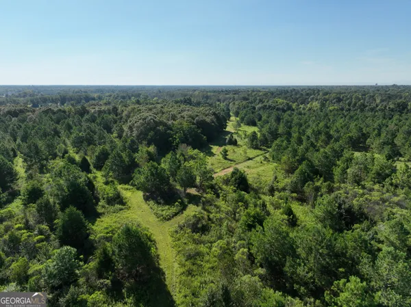an aerial view of houses covered in trees