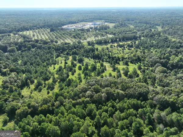 an aerial view of residential house with green space