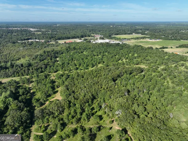 an aerial view of residential houses with outdoor space and trees