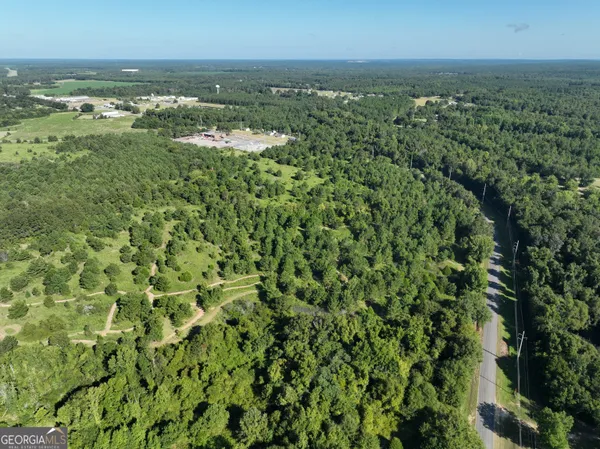 an aerial view of residential houses with outdoor space and trees