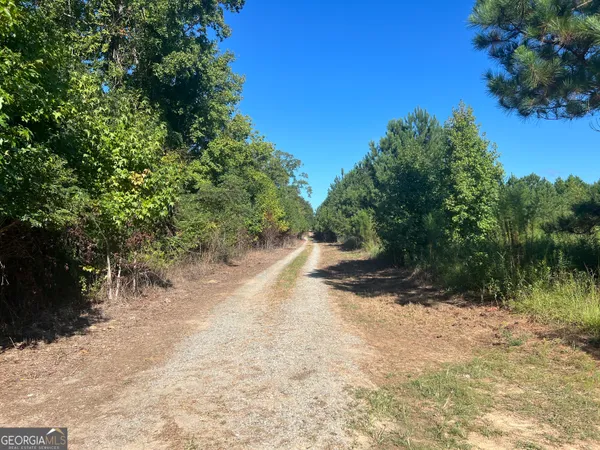 a view of a yard with plants and trees