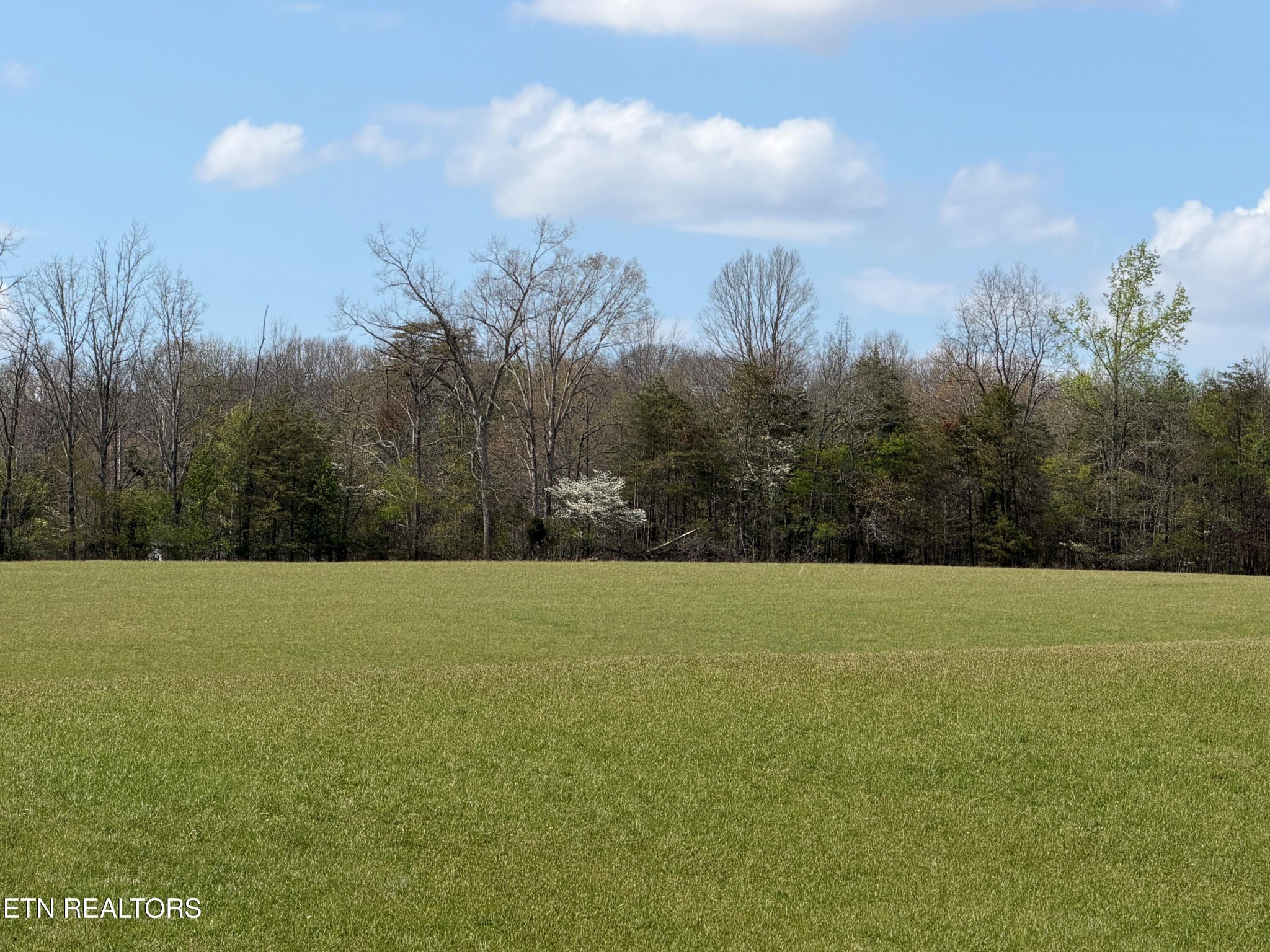 1342 Walt Reed Road Grandview, TN 37337 - Photo 6 of 13 Gallery Image 6