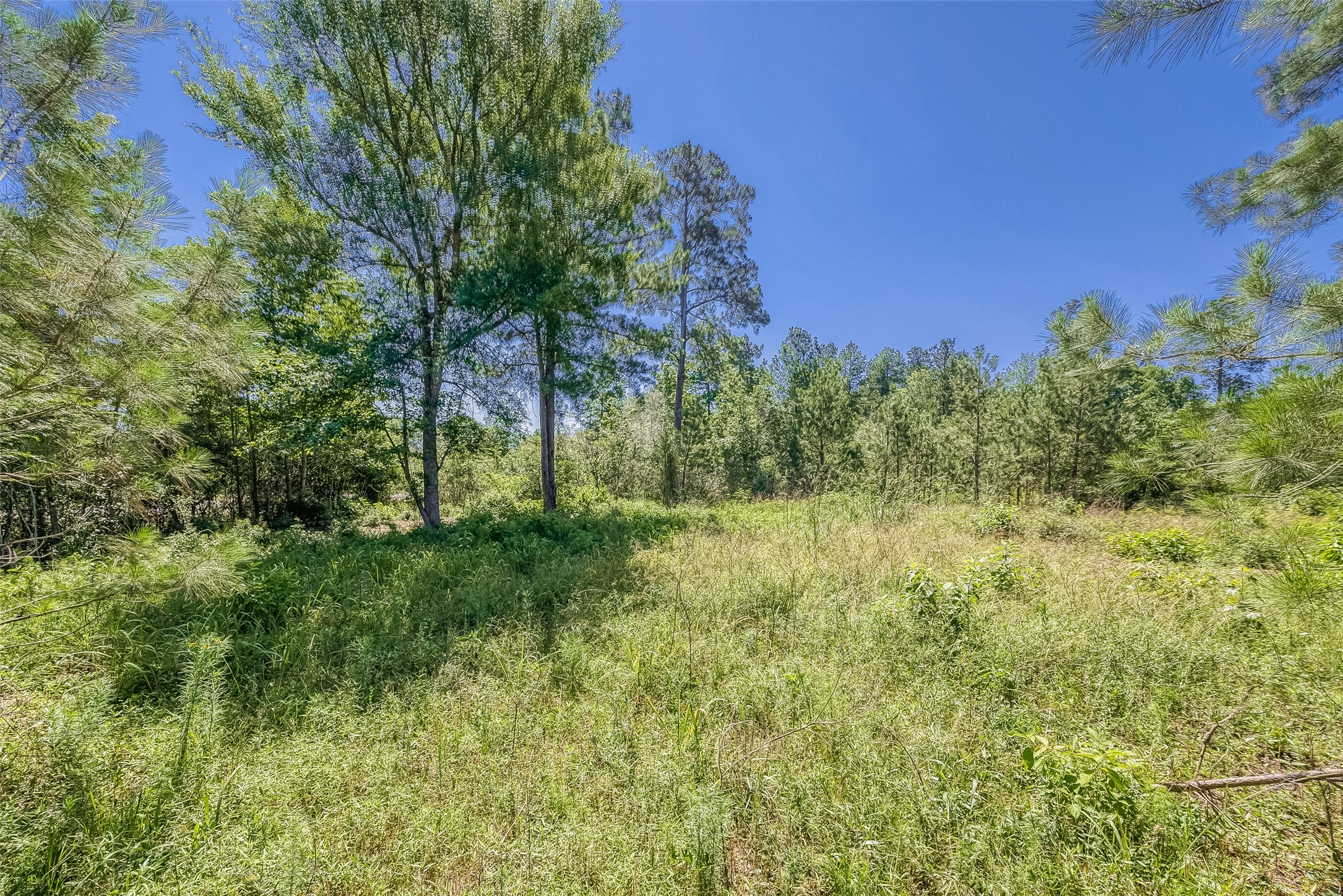 123 Gypsum Road Willis, TX 77378 - Photo 12 of 30