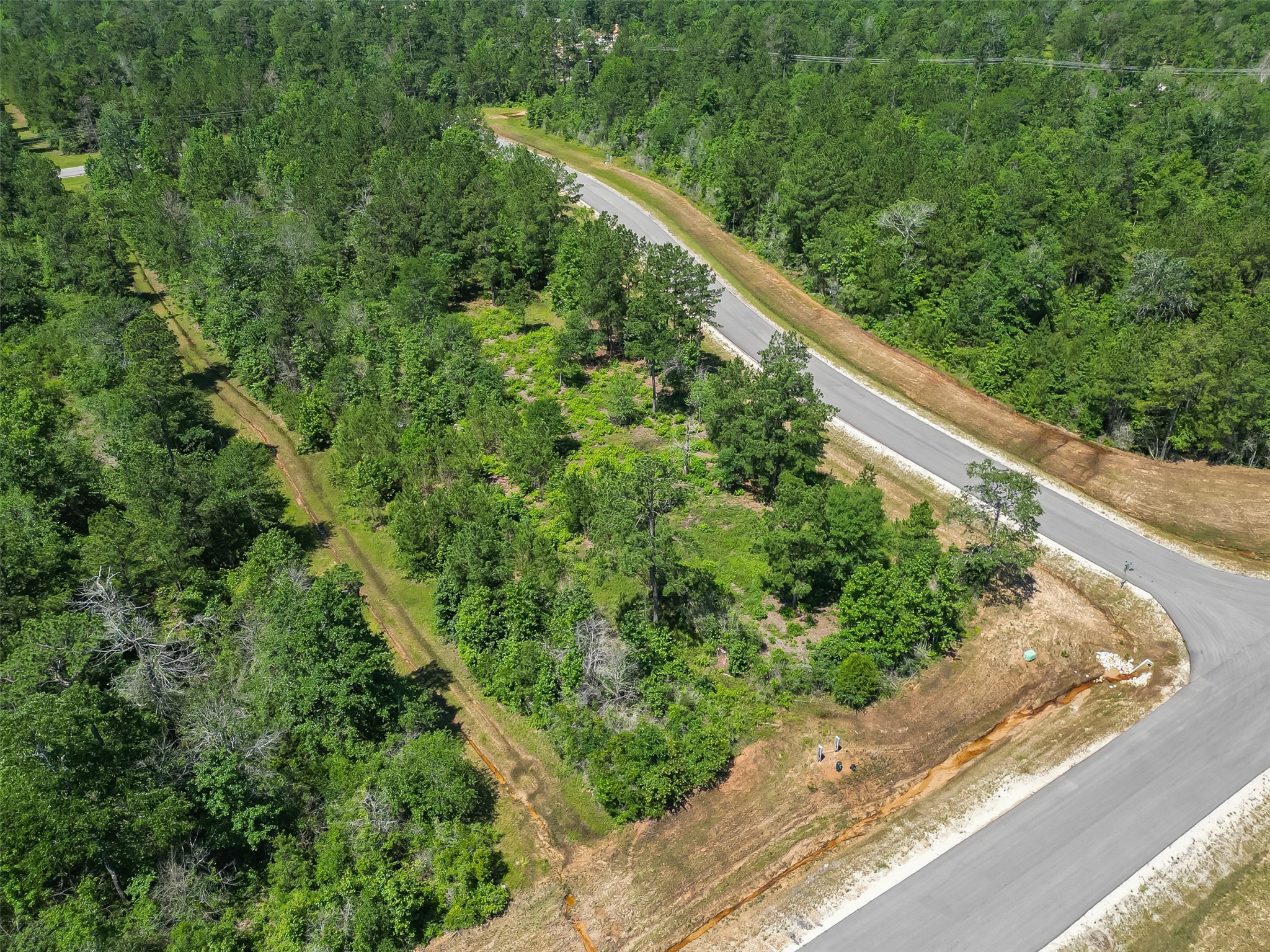 123 Gypsum Road Willis, TX 77378 - Photo 19 of 30