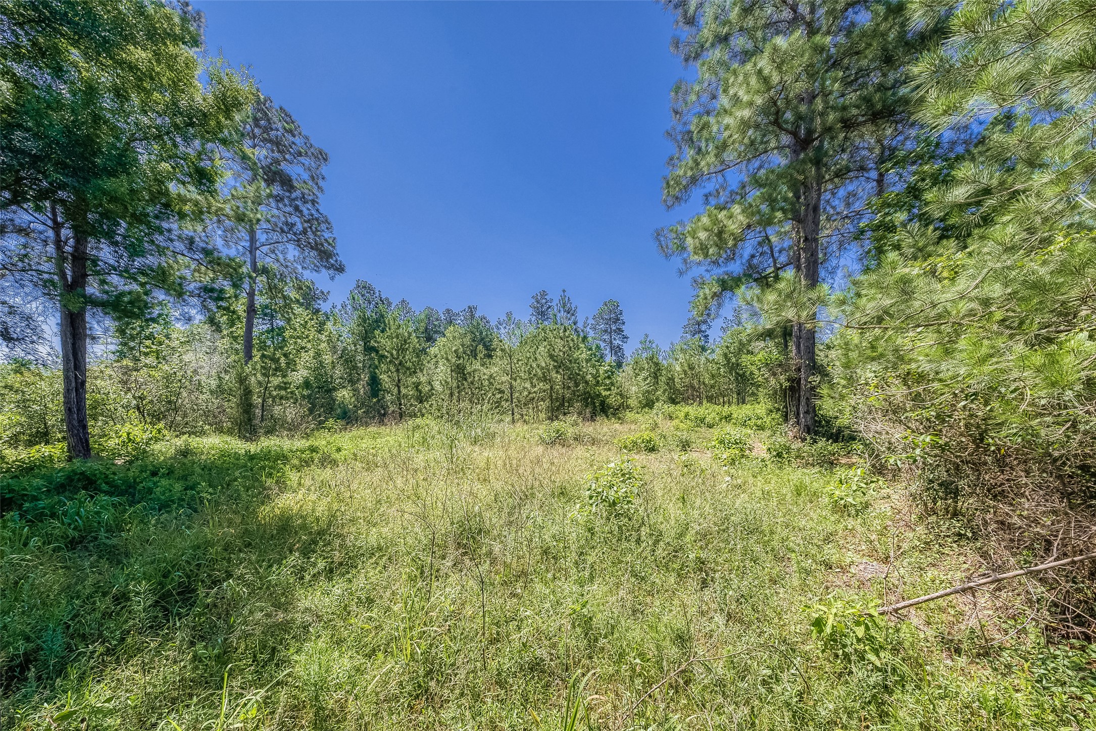 123 Gypsum Road Willis, TX 77378 - Photo 4 of 30