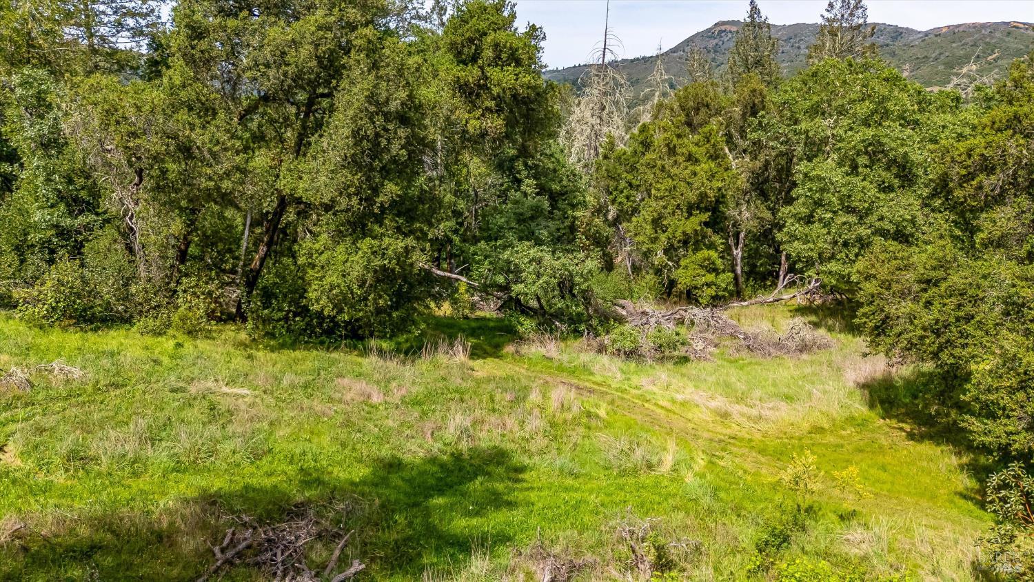 6435 Dry Creek Road Napa, CA 94558 - Photo 23 of 26