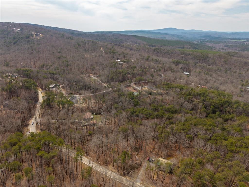 167 Henderson Mountain Road Jasper, GA 30143 - Photo 19 of 22