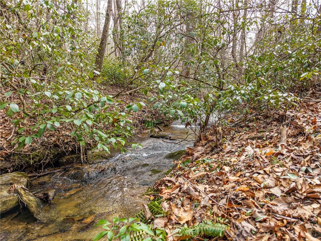 167 Henderson Mountain Road Jasper, GA 30143 - Photo 7 of 22