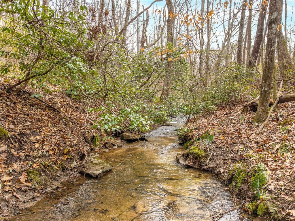 167 Henderson Mountain Road Jasper, GA 30143 - Photo 8 of 22