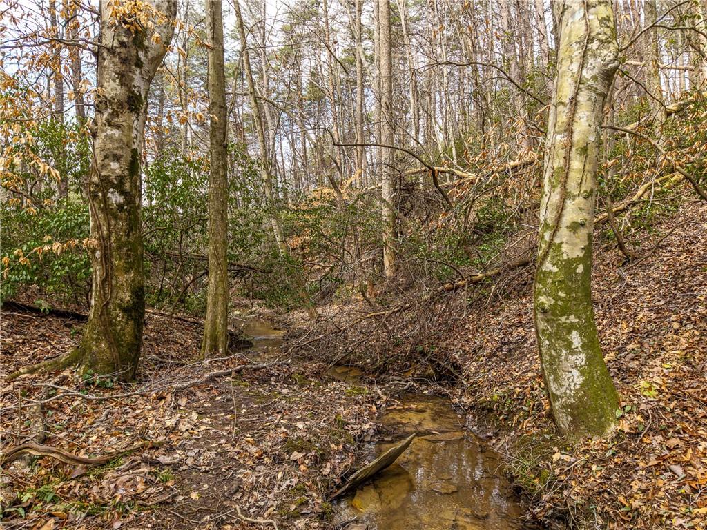 167 Henderson Mountain Road Jasper, GA 30143 - Photo 9 of 22