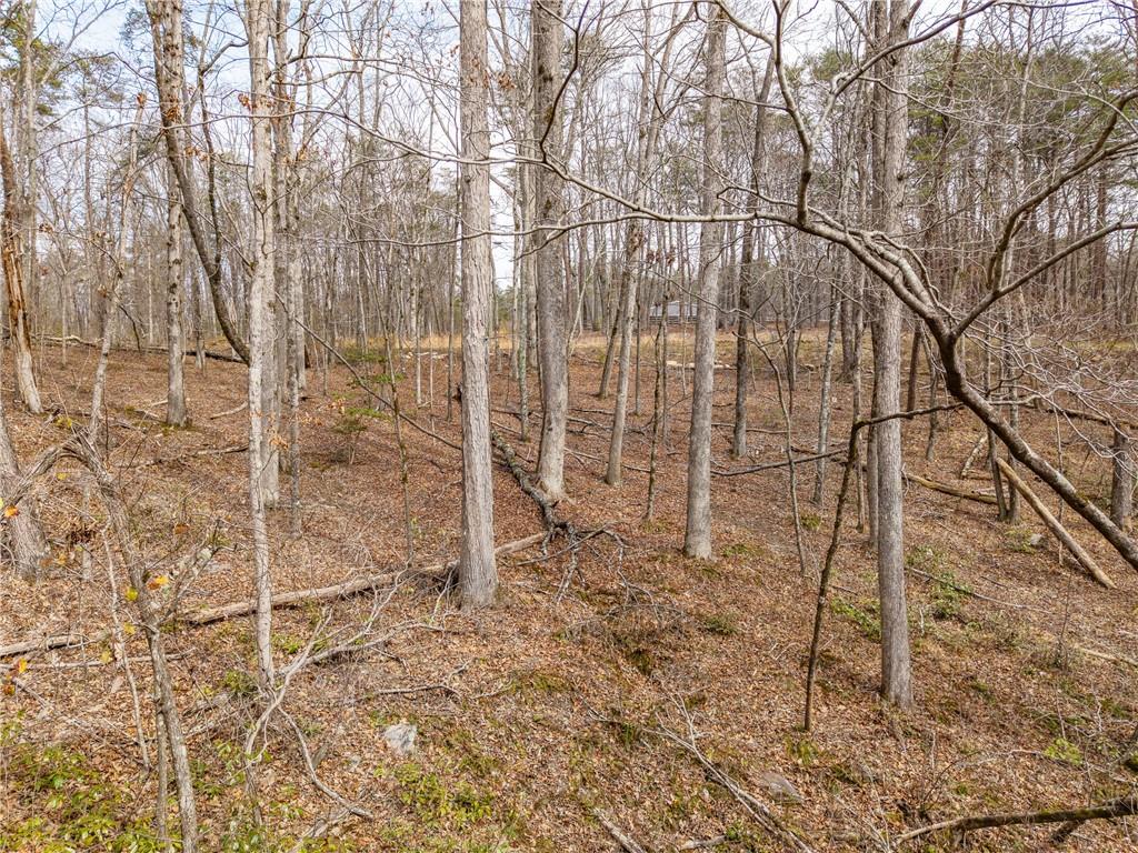 167 Henderson Mountain Road Jasper, GA 30143 - Photo 10 of 22