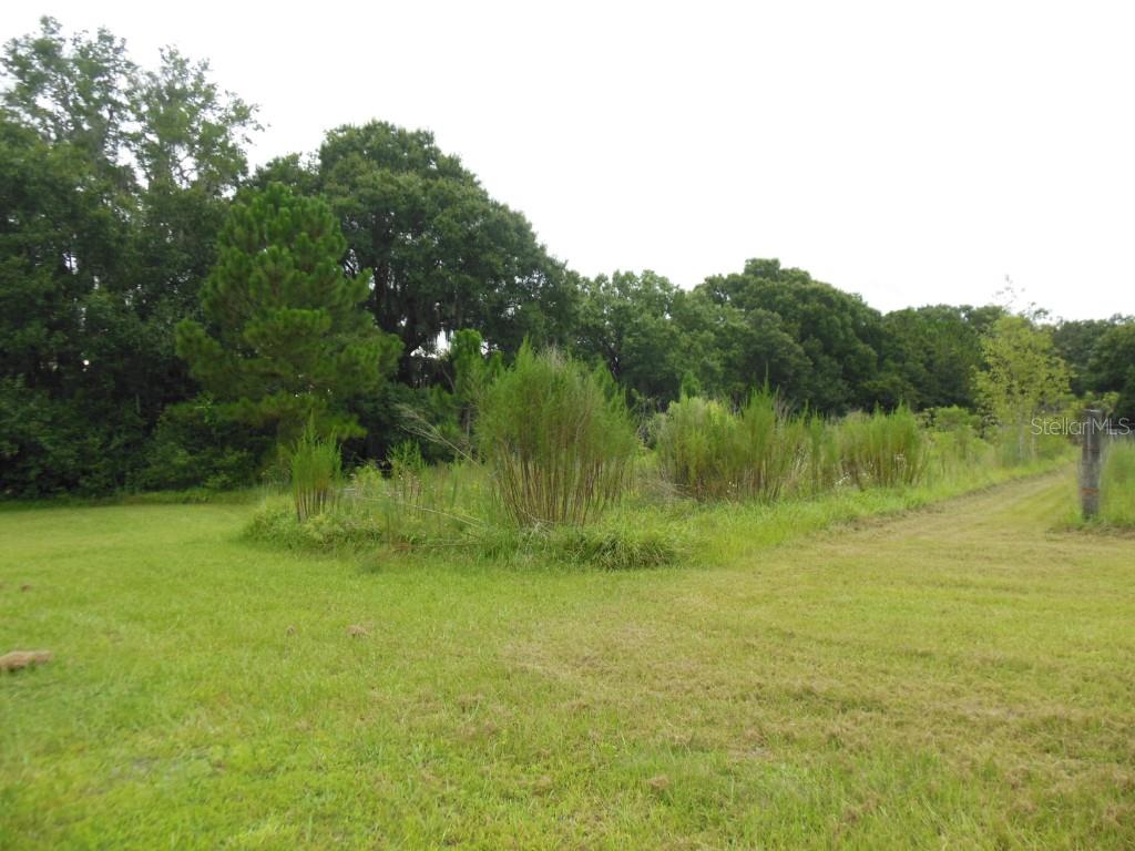 Marcia Road Lakeland, FL 33810 - Photo 1 of 1 Gallery Image 1