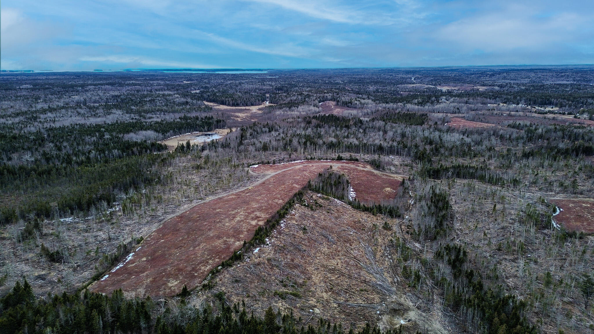 0 Lively Brook Road Whiting, ME 04691 - Photo 18 of 50