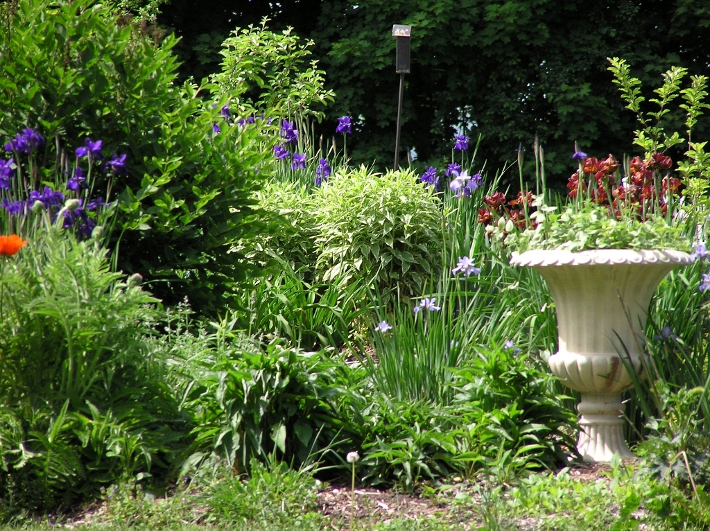221 Ide Road Williamstown, MA 01267 - Photo 15 of 24 Garden view