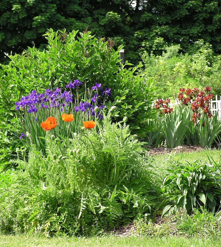 221 Ide Road Williamstown, MA 01267 - Photo 18 of 24 Iris
