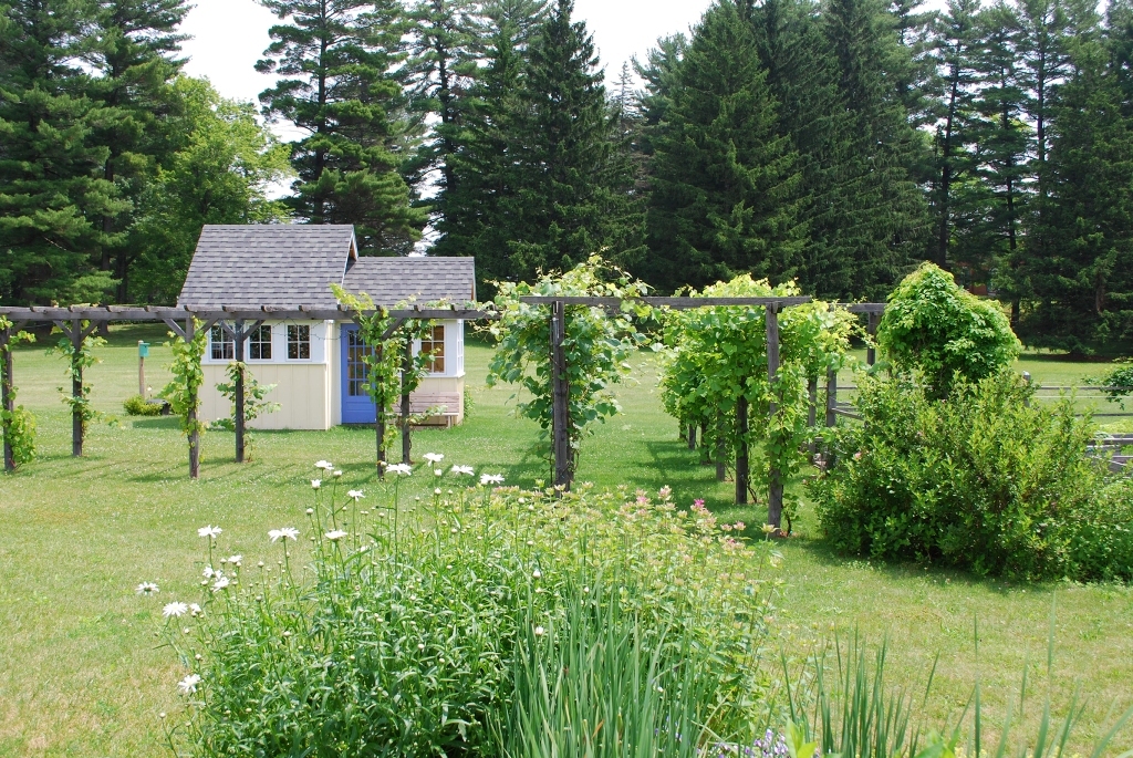 221 Ide Road Williamstown, MA 01267 - Photo 22 of 24 Shed