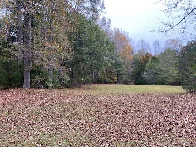6384 Cobbham Road Appling, GA 30802 - Photo 2 of 4 5