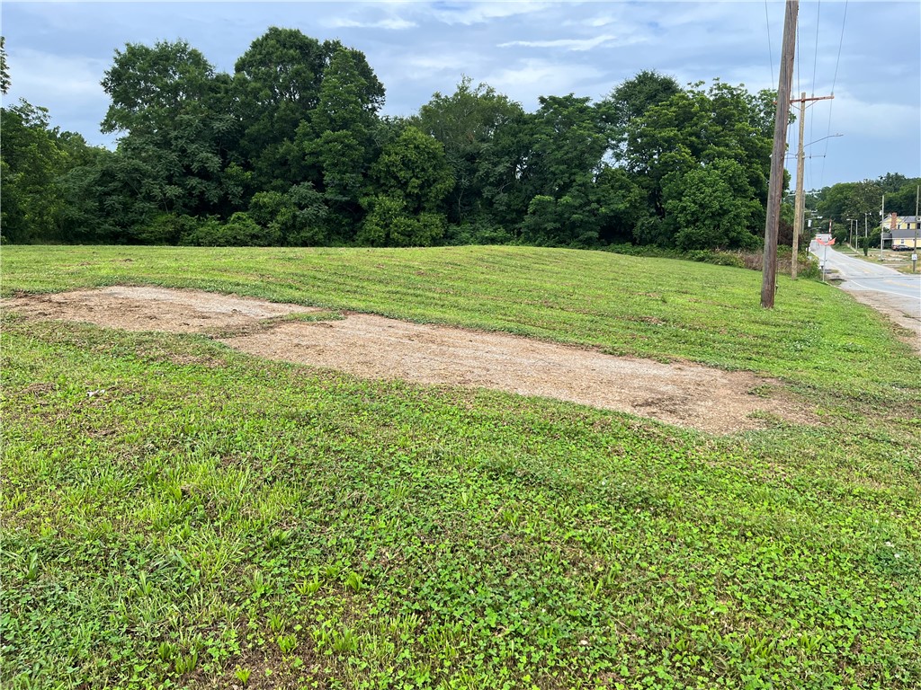 237 East Main Street Pendleton, SC 29670 - Photo 7 of 16 A spacious, verdant lot awaits your vision, bordered by mature trees and a quiet street.