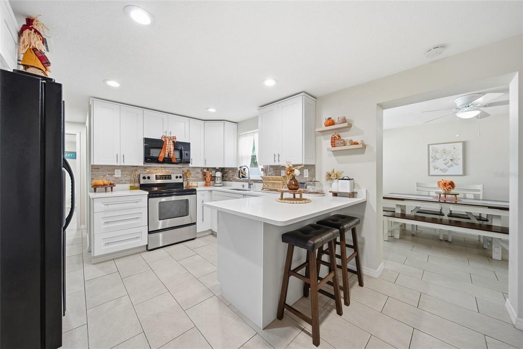 3744 Carron Street New Port Richey, FL 34652 - Photo 2 of 28 a kitchen with a sink a counter top space and appliances