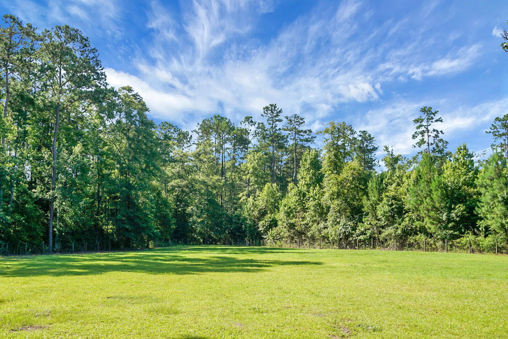 286 County Rd S-18-132 Dorchester, SC 29437 - Photo 43 of 64 44 pasture