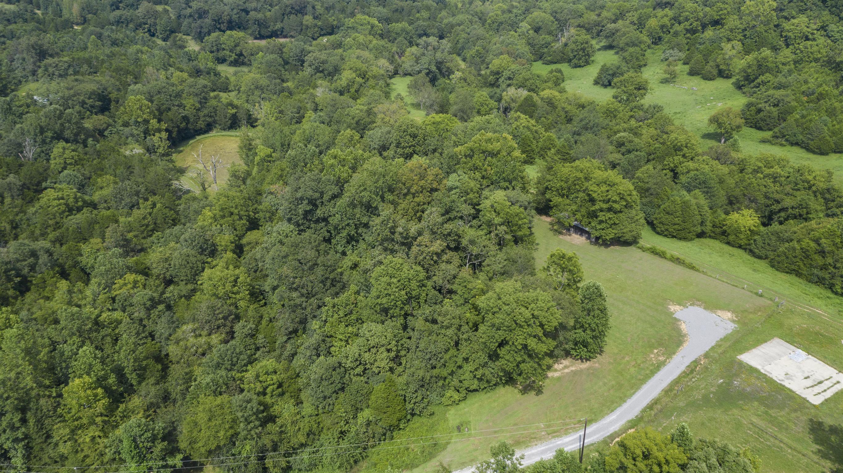4449 Beasleys Bend Road Lebanon, TN 37087 - Photo 11 of 22 a view of a forest with a houses